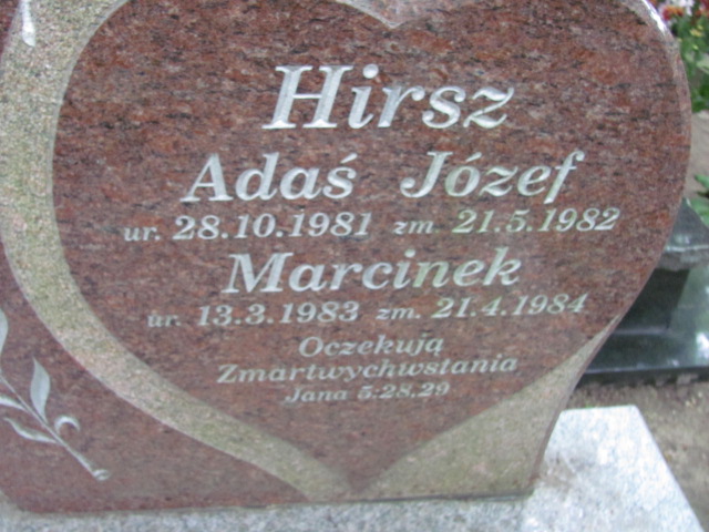 Adam HIRSZ 1981 Gdynia - Grobonet - Wyszukiwarka osób pochowanych
