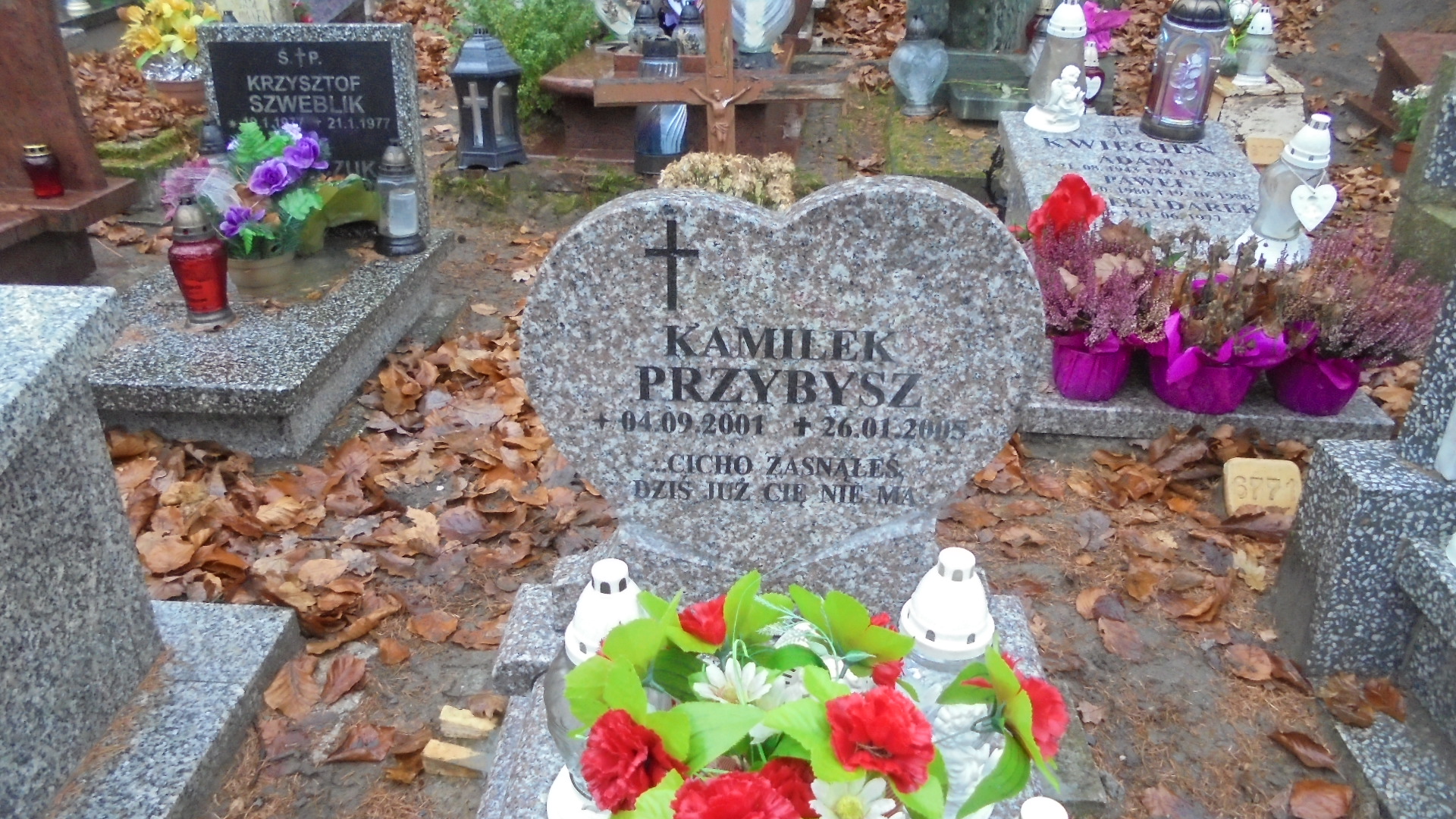 Kamil PRZYBYSZ 2001 Gdynia - Grobonet - Wyszukiwarka osób pochowanych