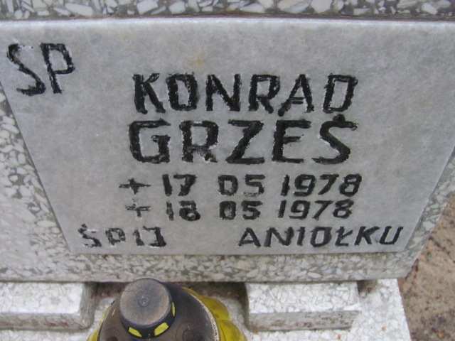 Konrad GRZEŚ 1978 Gdynia - Grobonet - Wyszukiwarka osób pochowanych