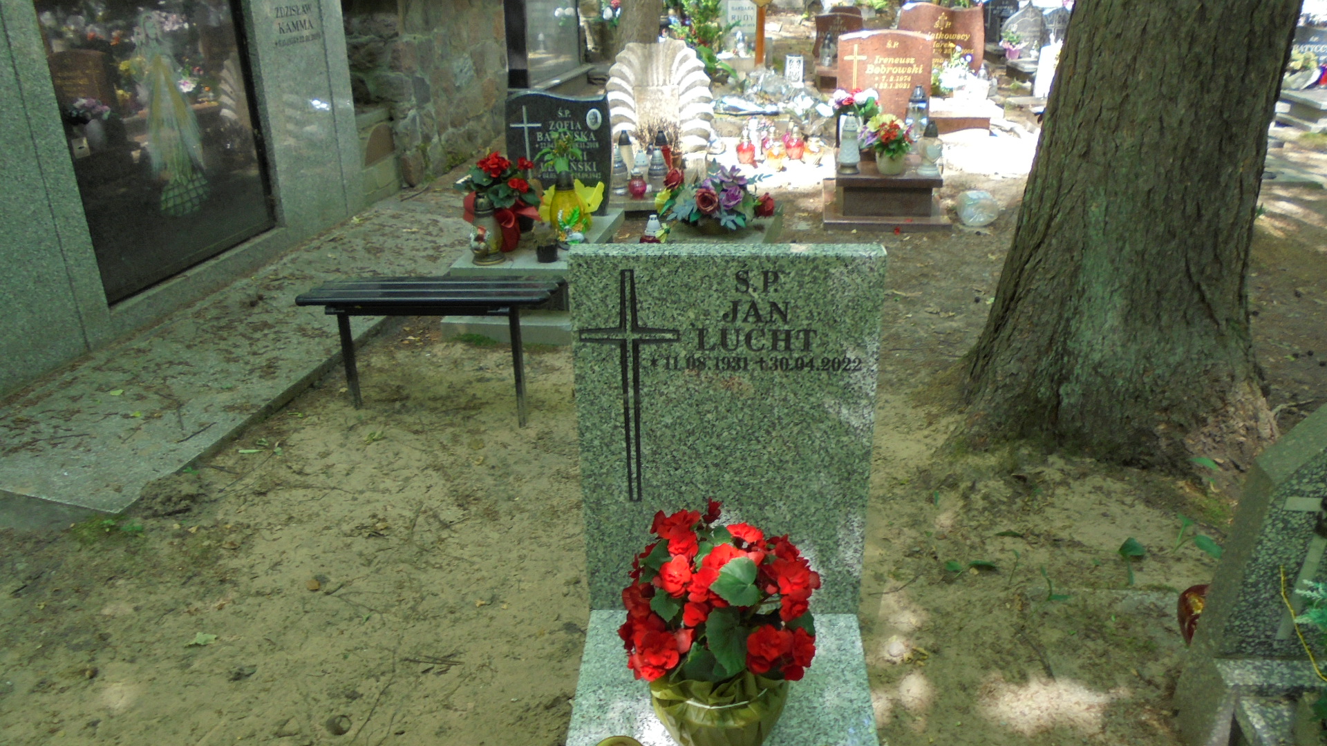   Gdynia - Grobonet - Wyszukiwarka osób pochowanych