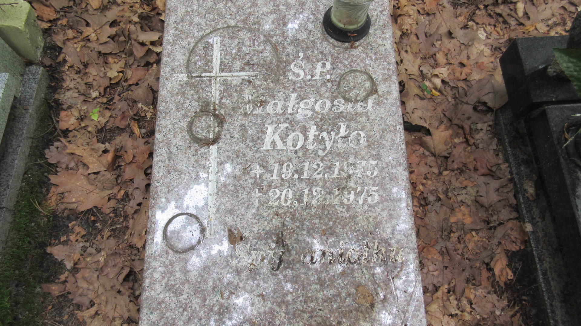 Małgorzata KOTYŁO 1975 Gdynia - Grobonet - Wyszukiwarka osób pochowanych