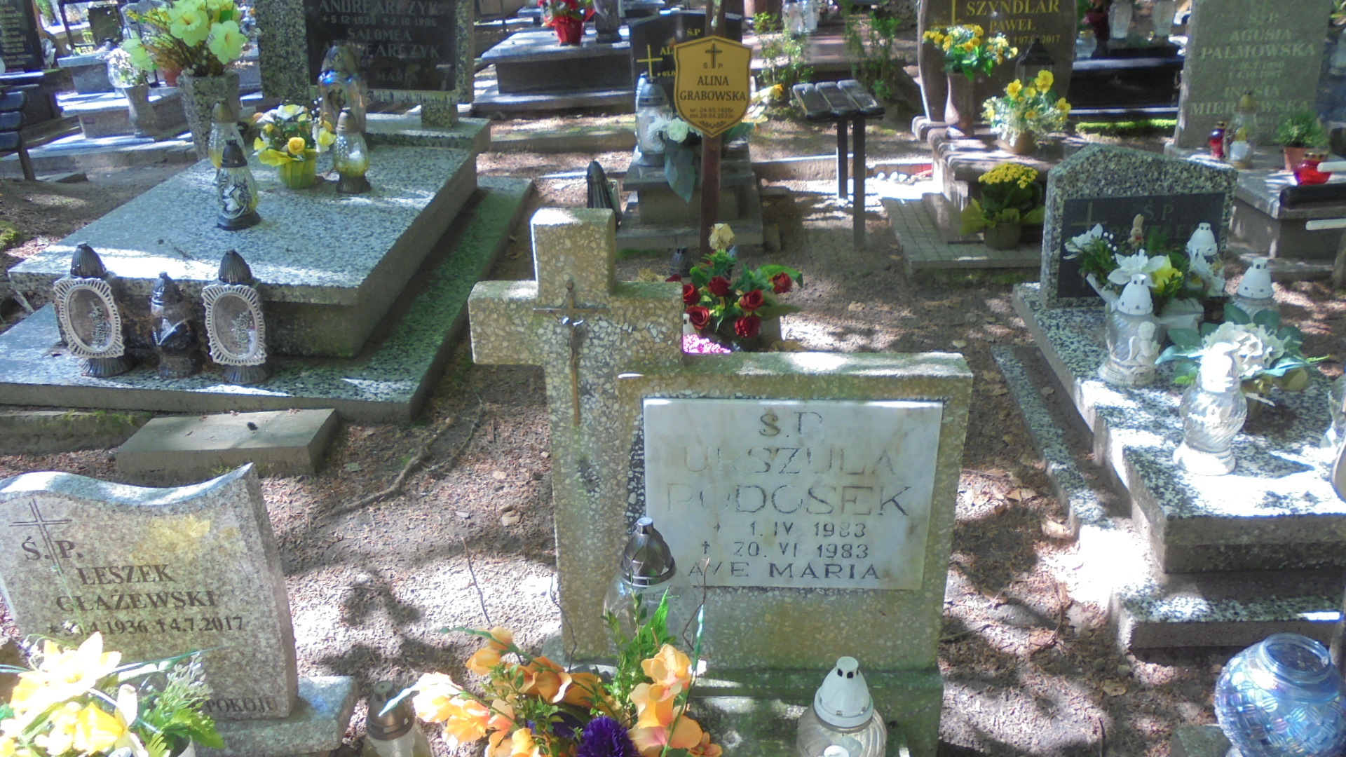 Urszula PODOSEK 1983 Gdynia - Grobonet - Wyszukiwarka osób pochowanych