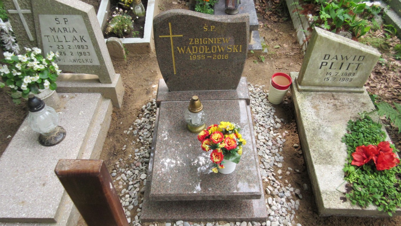 Zbigniew WĄDOŁOWSKI 1955 Gdynia - Grobonet - Wyszukiwarka osób pochowanych