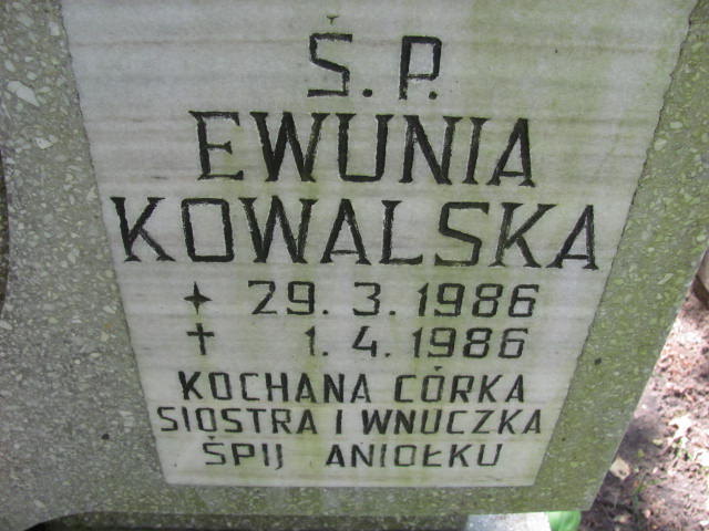 EWUNIA KOWALSKA 1986 Gdynia - Grobonet - Wyszukiwarka osób pochowanych