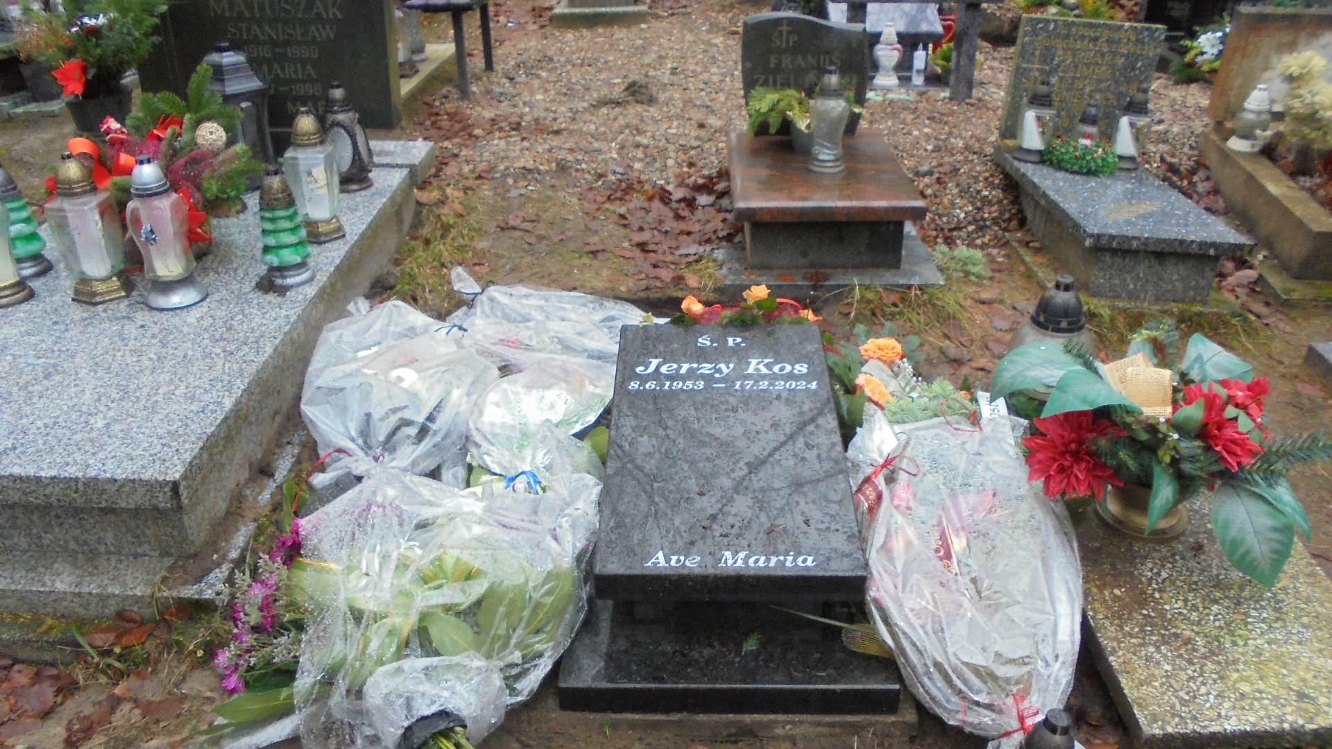 Ewa SZCZUR 1951 Gdynia - Grobonet - Wyszukiwarka osób pochowanych