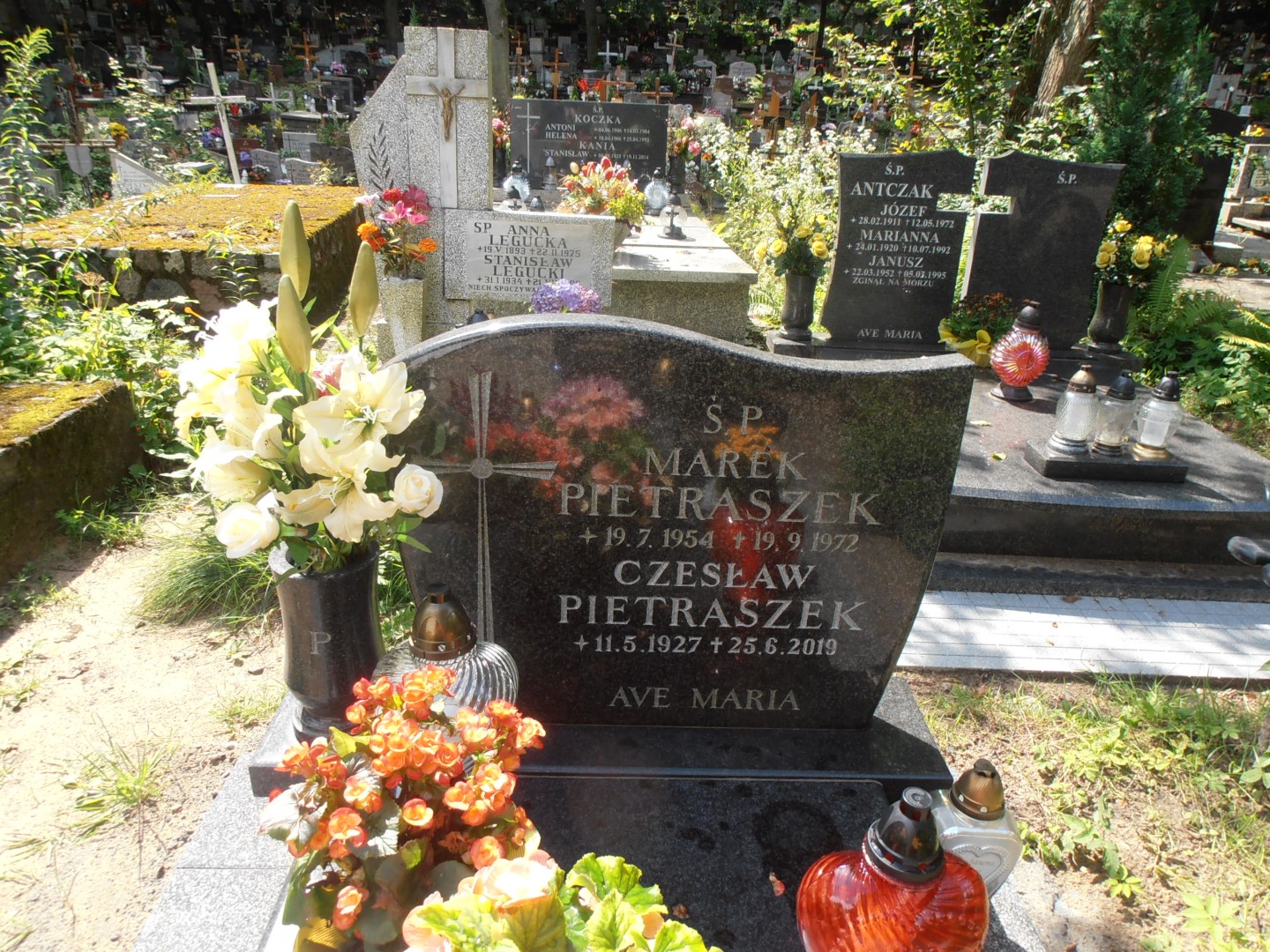 Marek PIETRASZEK 1954 Gdynia - Grobonet - Wyszukiwarka osób pochowanych