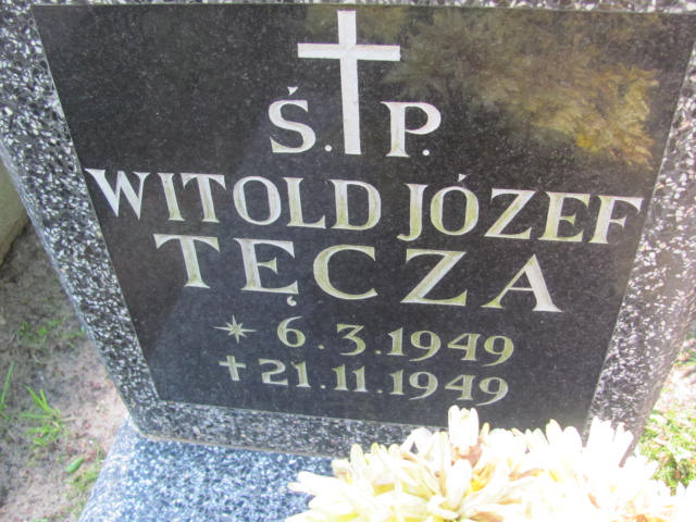 Witold Józef TĘCZA 1949 Gdynia - Grobonet - Wyszukiwarka osób pochowanych