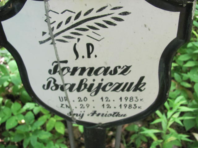 Tomasz Łukasz BABIJCZUK 1983 Gdynia - Grobonet - Wyszukiwarka osób pochowanych