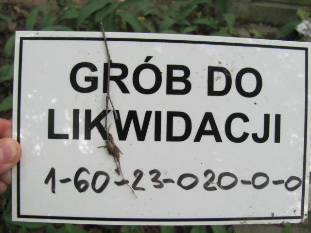 Barbara GŁODOWSKA Gdynia - Grobonet - Wyszukiwarka osób pochowanych