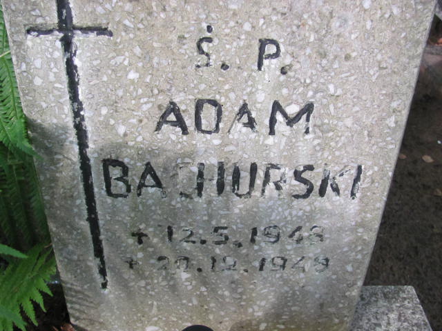 Adam BACHURSKI 1948 Gdynia - Grobonet - Wyszukiwarka osób pochowanych