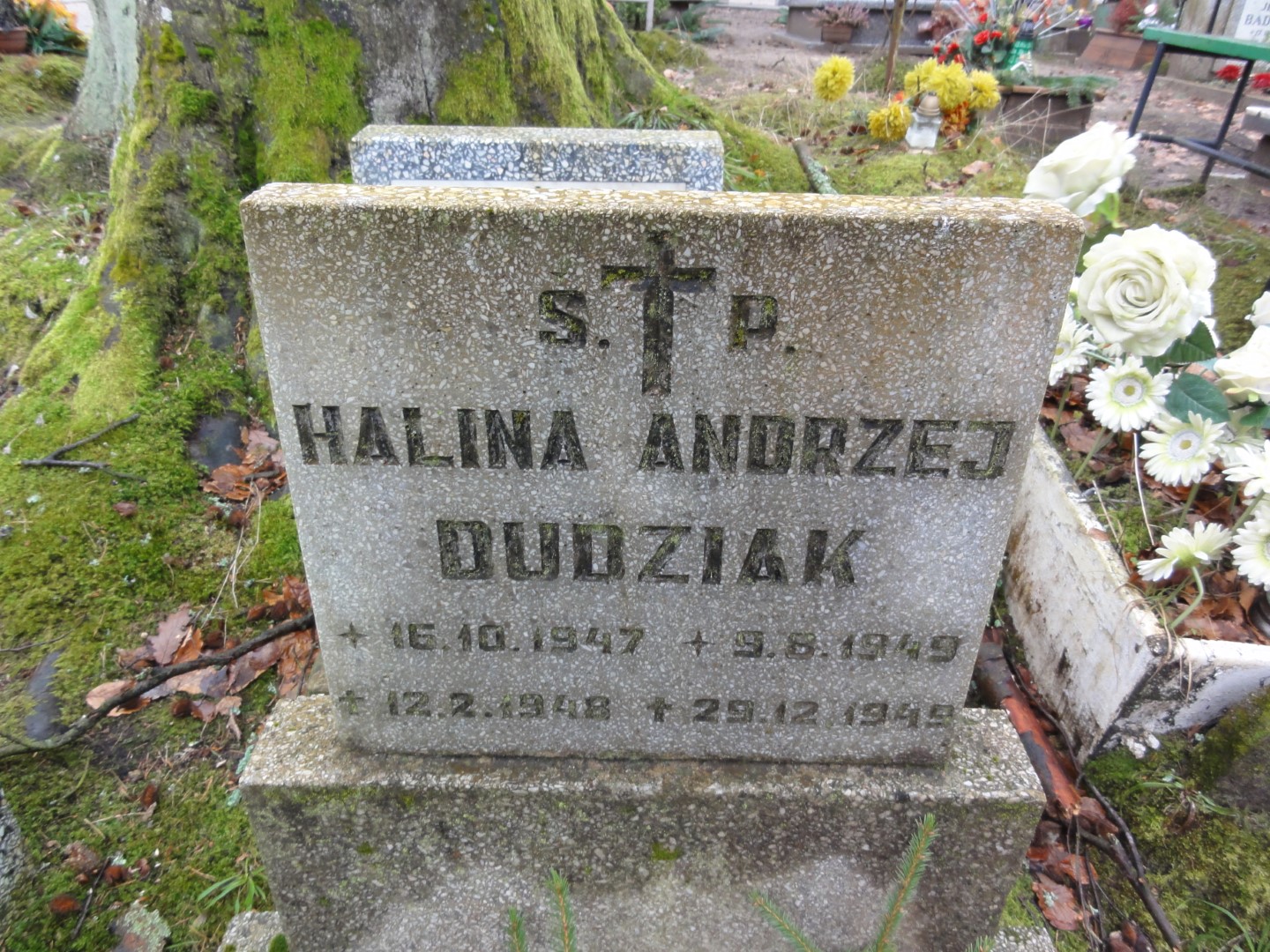 Halina DUDZIAK 1947 Gdynia - Grobonet - Wyszukiwarka osób pochowanych