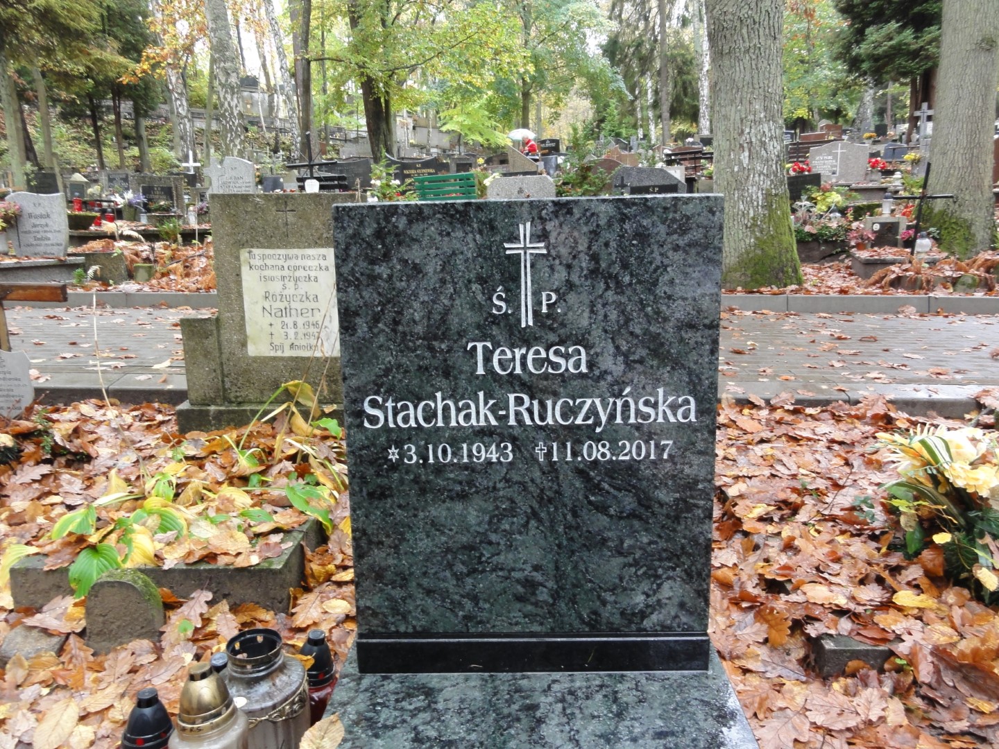 Jerzy KRASUCKI 1946 Gdynia - Grobonet - Wyszukiwarka osób pochowanych