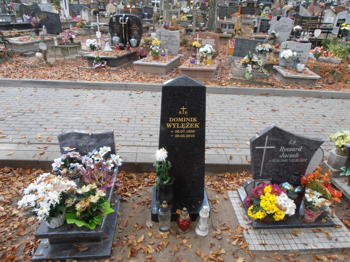 Grób DOMINIK WYLĘŻEK