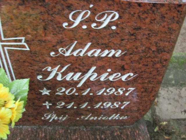 Adam KUPIEC 1987 Gdynia - Grobonet - Wyszukiwarka osób pochowanych