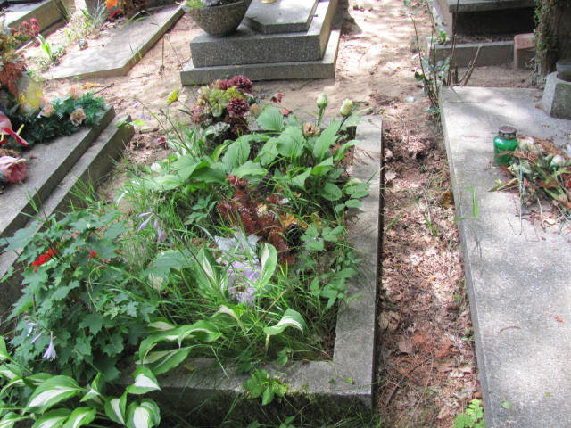 Maria NOWINKA 1901 Gdynia - Grobonet - Wyszukiwarka osób pochowanych