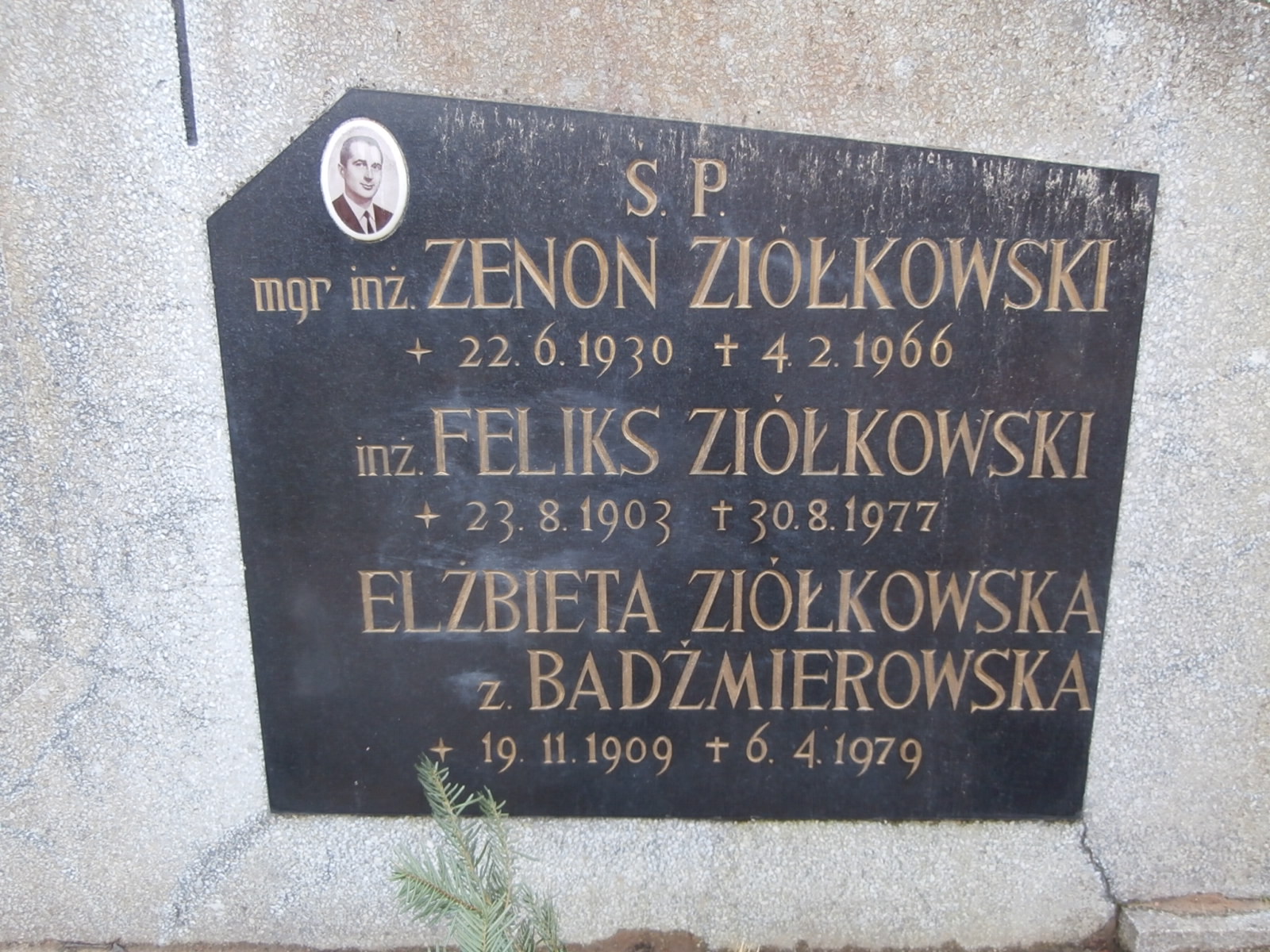 Zenon ZIÓŁKOWSKI 1930 Gdynia - Grobonet - Wyszukiwarka osób pochowanych