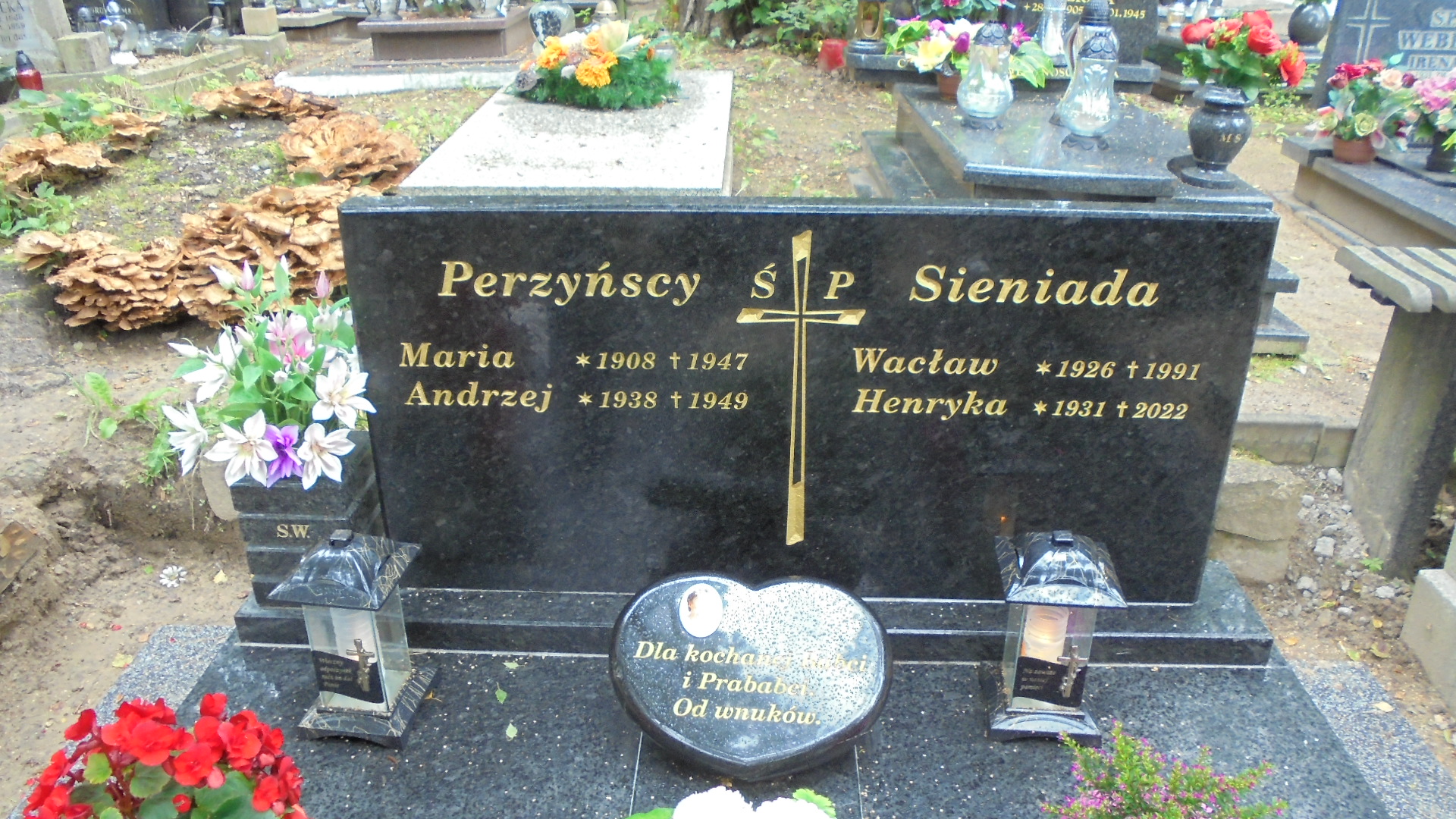 Andrzej PERZYŃSKI 1938 Gdynia - Grobonet - Wyszukiwarka osób pochowanych