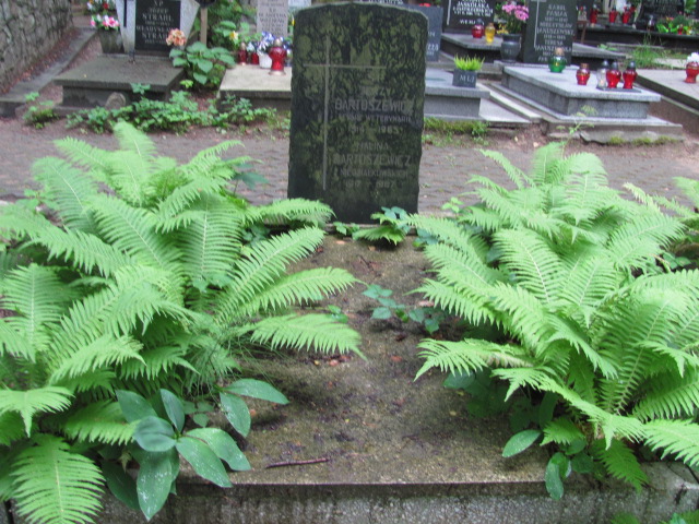 Halina BARTOSZEWICZ 1917 Gdynia - Grobonet - Wyszukiwarka osób pochowanych