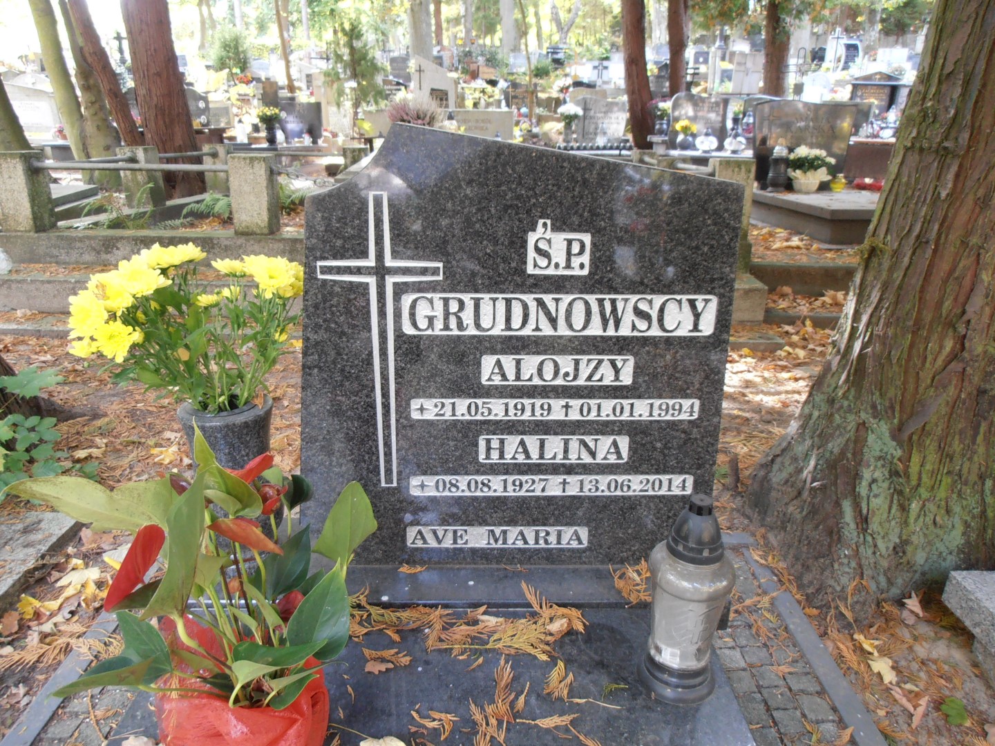 Alojzy GRUDNOWSKI 1919 Gdynia - Grobonet - Wyszukiwarka osób pochowanych