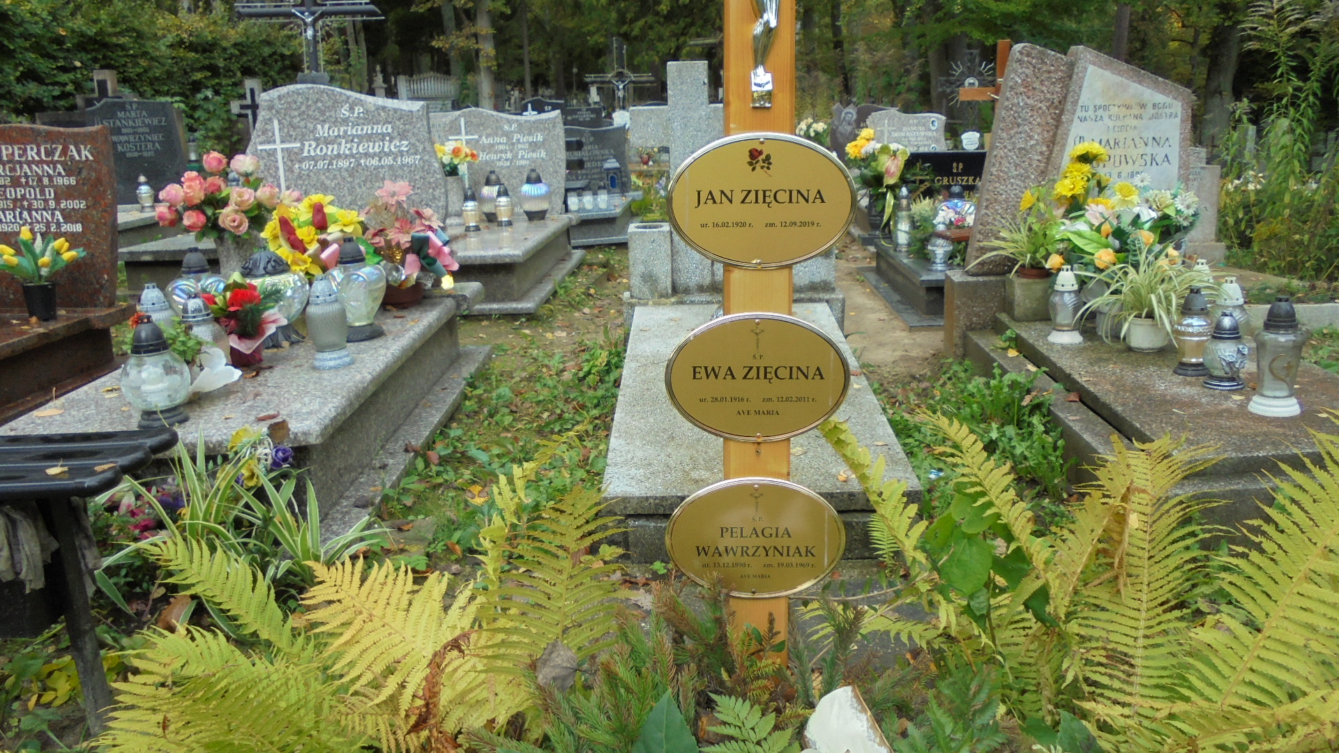 Ewa Gabriela ZIĘCINA 1916 Gdynia - Grobonet - Wyszukiwarka osób pochowanych