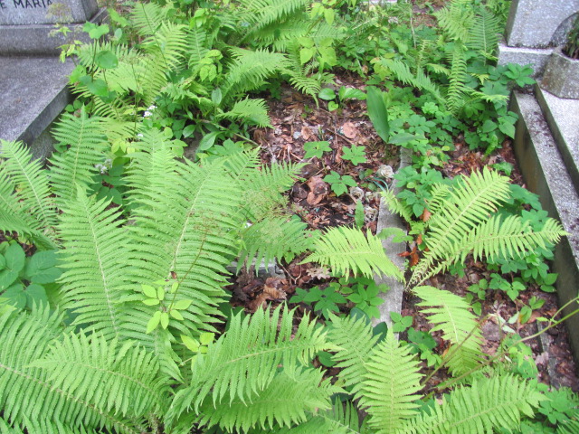 Krystyna ZYCH Gdynia - Grobonet - Wyszukiwarka osób pochowanych