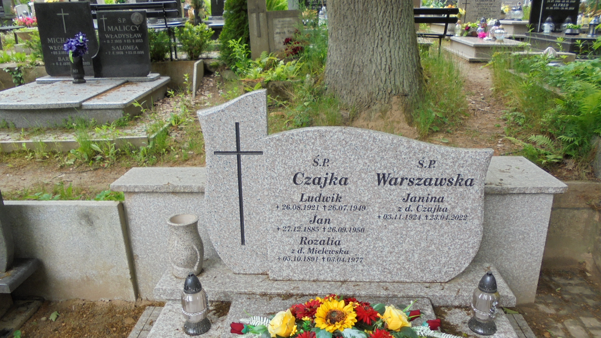 Rozalia CZAJKA 1891 Gdynia - Grobonet - Wyszukiwarka osób pochowanych