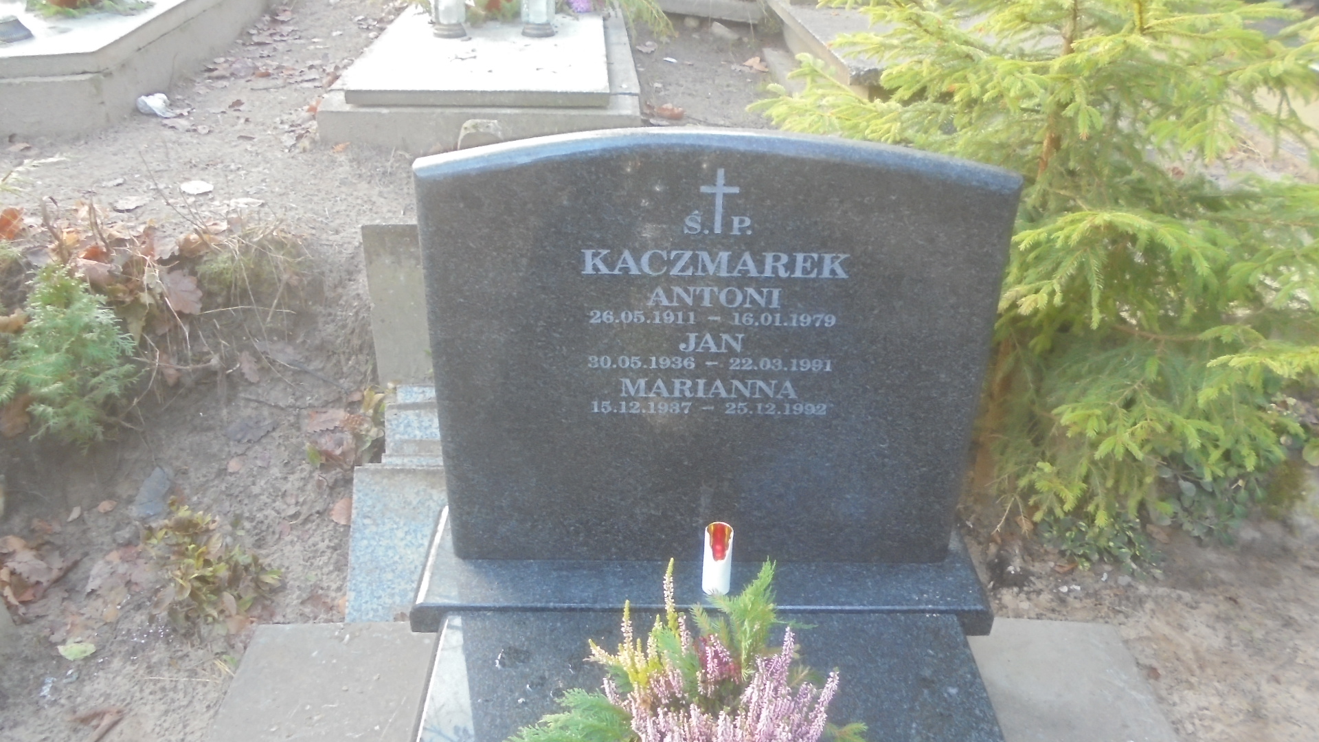 Marianna KACZMAREK 1937 Gdynia - Grobonet - Wyszukiwarka osób pochowanych