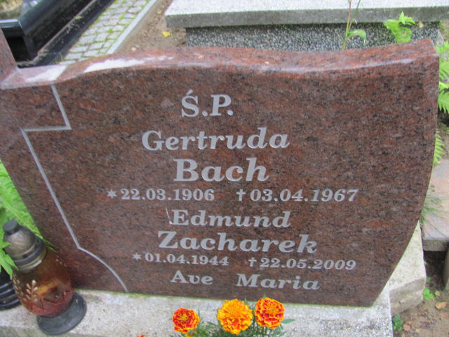EDMUND HERBERT ZACHAREK 1944 Gdynia - Grobonet - Wyszukiwarka osób pochowanych