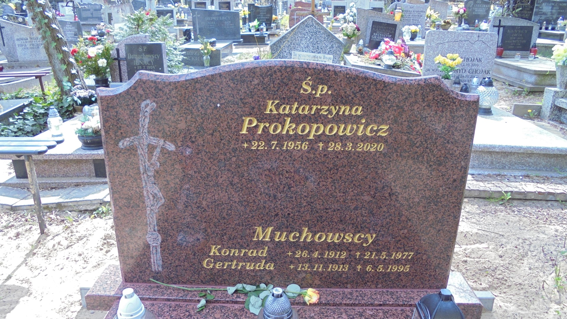 Konrad MUCHOWSKI 1912 Gdynia - Grobonet - Wyszukiwarka osób pochowanych