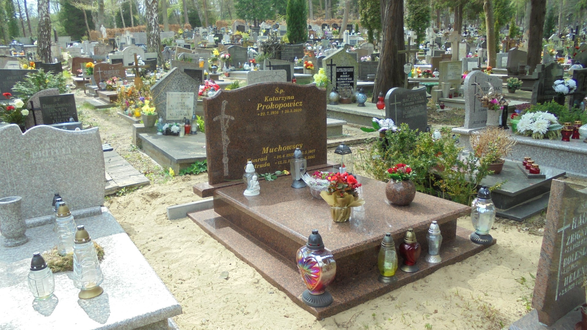 Grób KATARZYNA PROKOPOWICZ