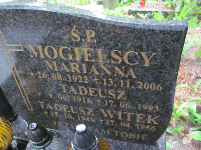 Tadeusz WITEK 1949 Gdynia - Grobonet - Wyszukiwarka osób pochowanych