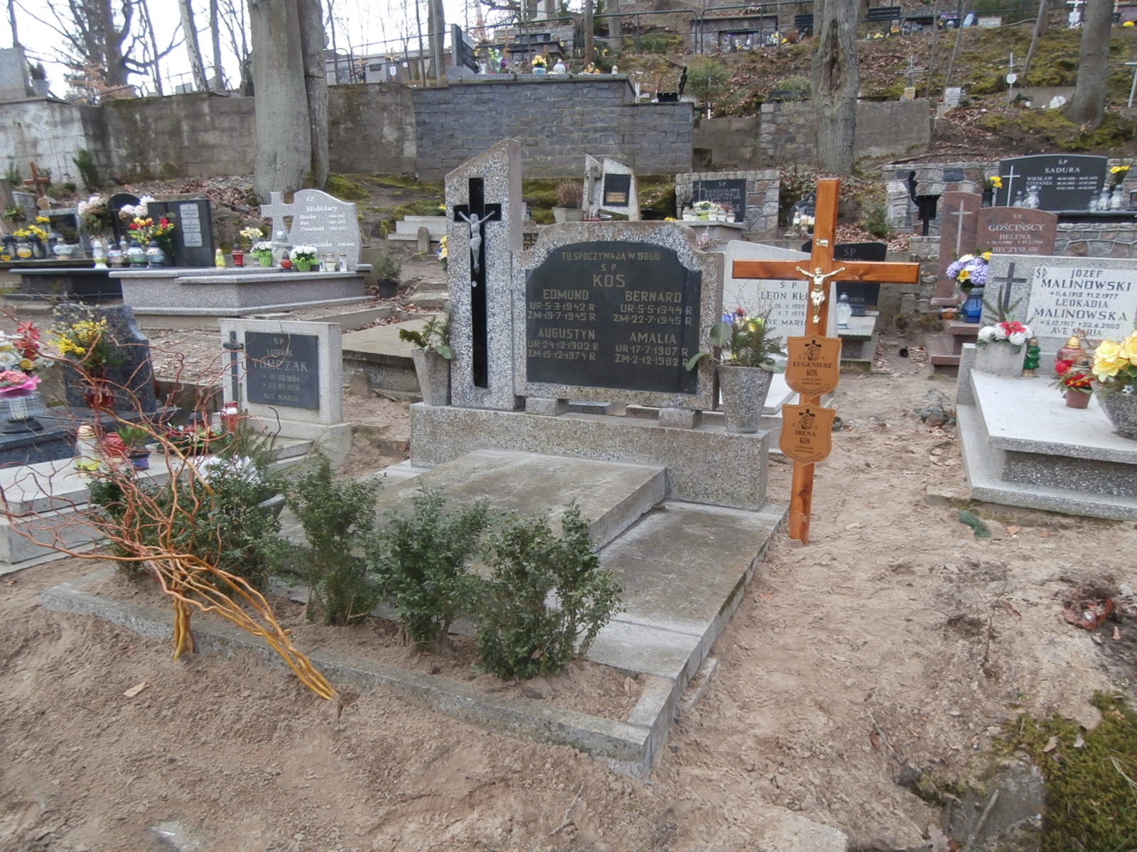 Augustyn KOS 1902 Gdynia - Grobonet - Wyszukiwarka osób pochowanych