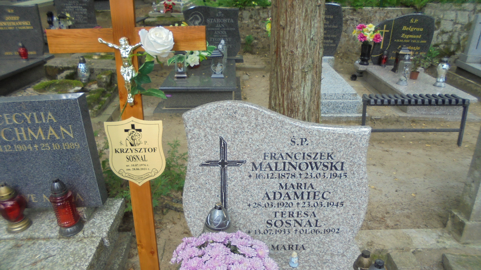 Maria ADAMIEC 1920 Gdynia - Grobonet - Wyszukiwarka osób pochowanych