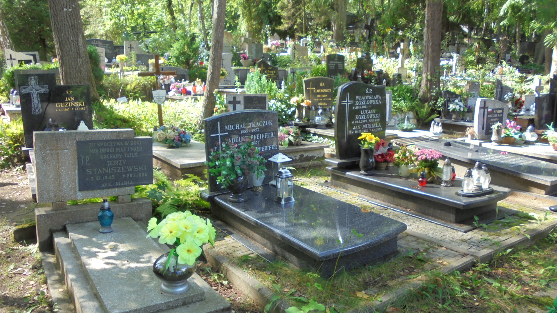 Tadeusz PFEIFFER 1933 Gdynia - Grobonet - Wyszukiwarka osób pochowanych