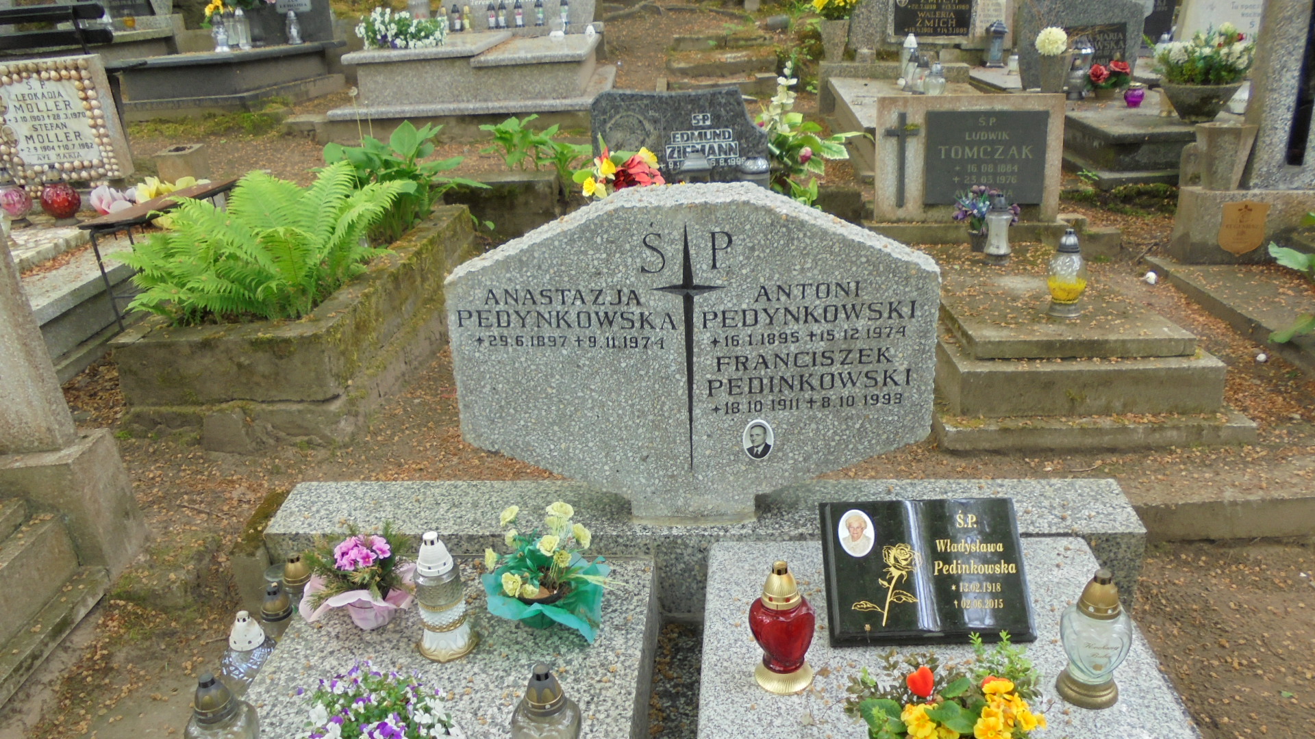 Antoni PEDYNKOWSKI Gdynia - Grobonet - Wyszukiwarka osób pochowanych