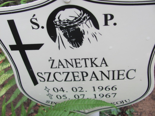 Żanetka SZCZEPANIEC 1966 Gdynia - Grobonet - Wyszukiwarka osób pochowanych
