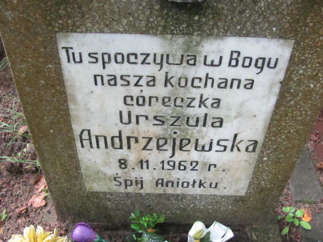 Urszula ANDRZEJEWSKA Gdynia - Grobonet - Wyszukiwarka osób pochowanych