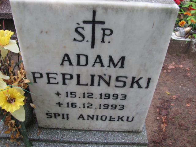 Adam PEPLIŃSKI 1993 Gdynia - Grobonet - Wyszukiwarka osób pochowanych