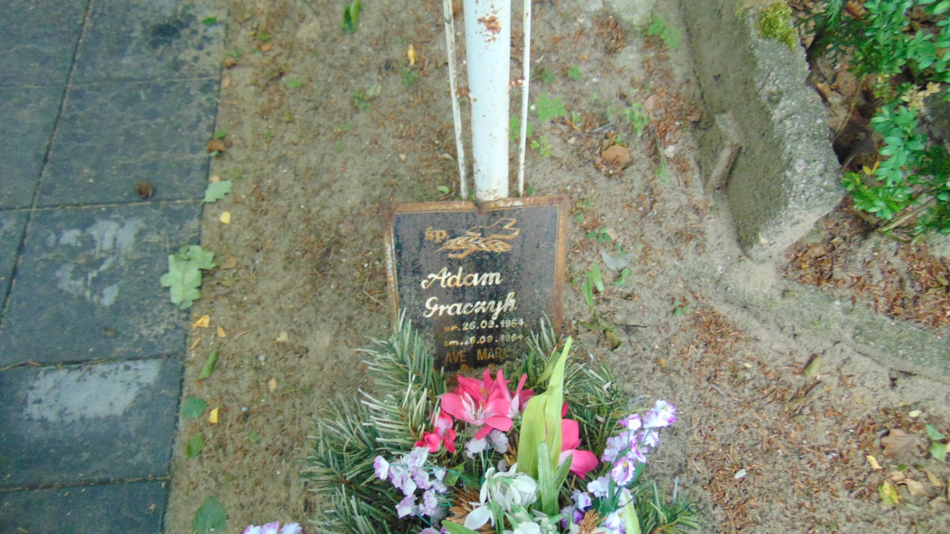 Adam GRACZYK 1964 Gdynia - Grobonet - Wyszukiwarka osób pochowanych