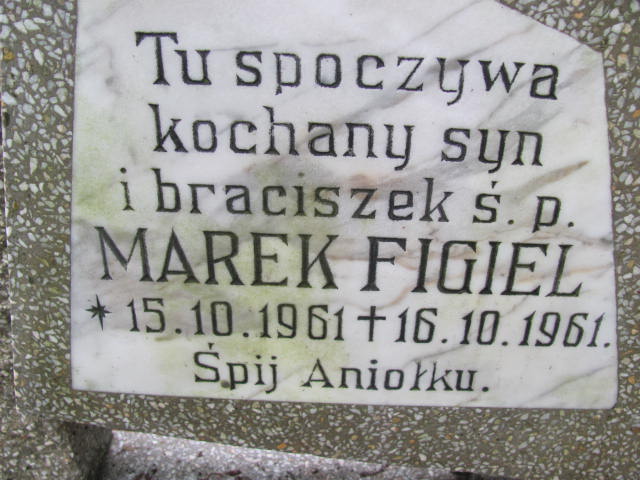 Marek FIGIEL 1961 Gdynia - Grobonet - Wyszukiwarka osób pochowanych