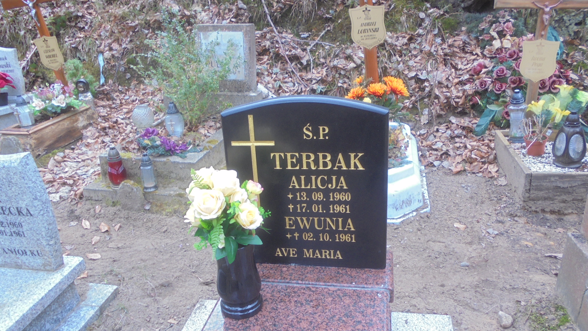 Alicja TERBAK 1960 Gdynia - Grobonet - Wyszukiwarka osób pochowanych