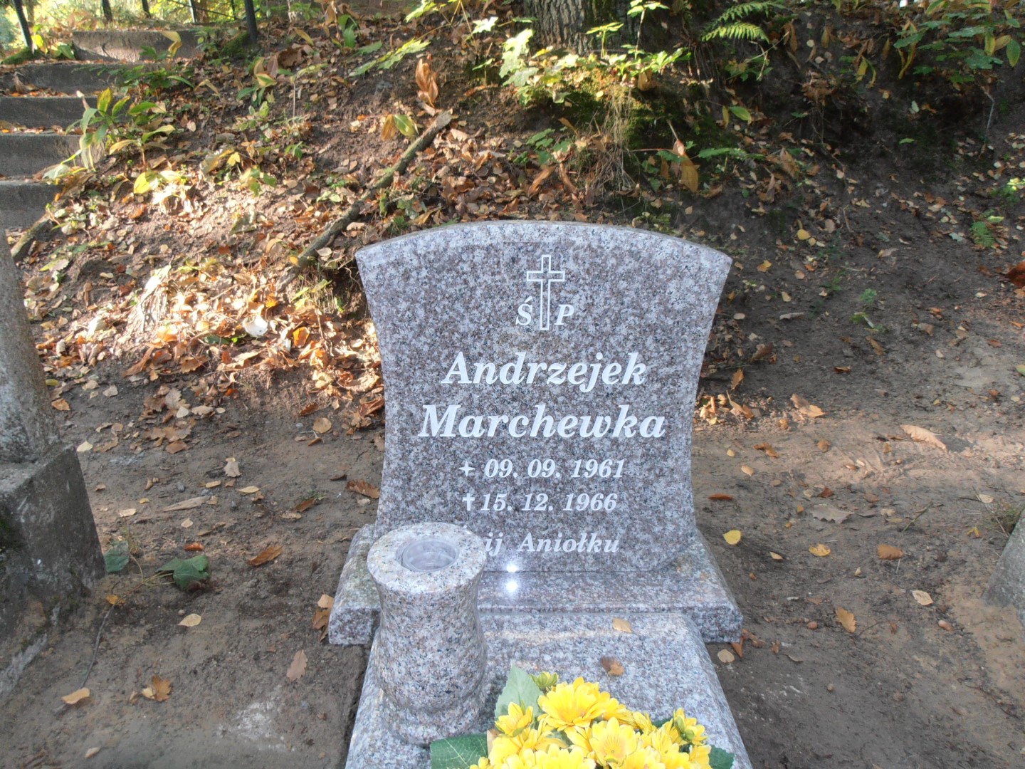 Andrzejek MARCHEWKA Gdynia - Grobonet - Wyszukiwarka osób pochowanych