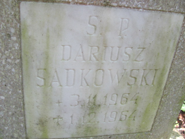 Dariusz SZADKOWSKI 1964 Gdynia - Grobonet - Wyszukiwarka osób pochowanych