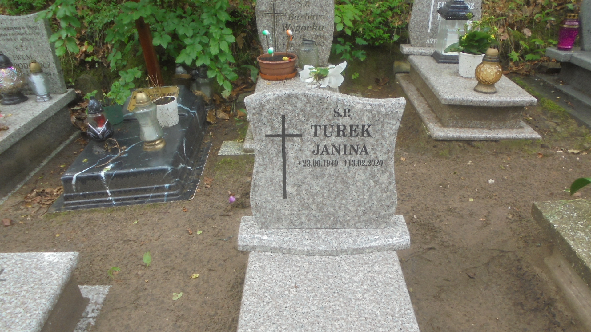 Ewa GROBELNA Gdynia - Grobonet - Wyszukiwarka osób pochowanych