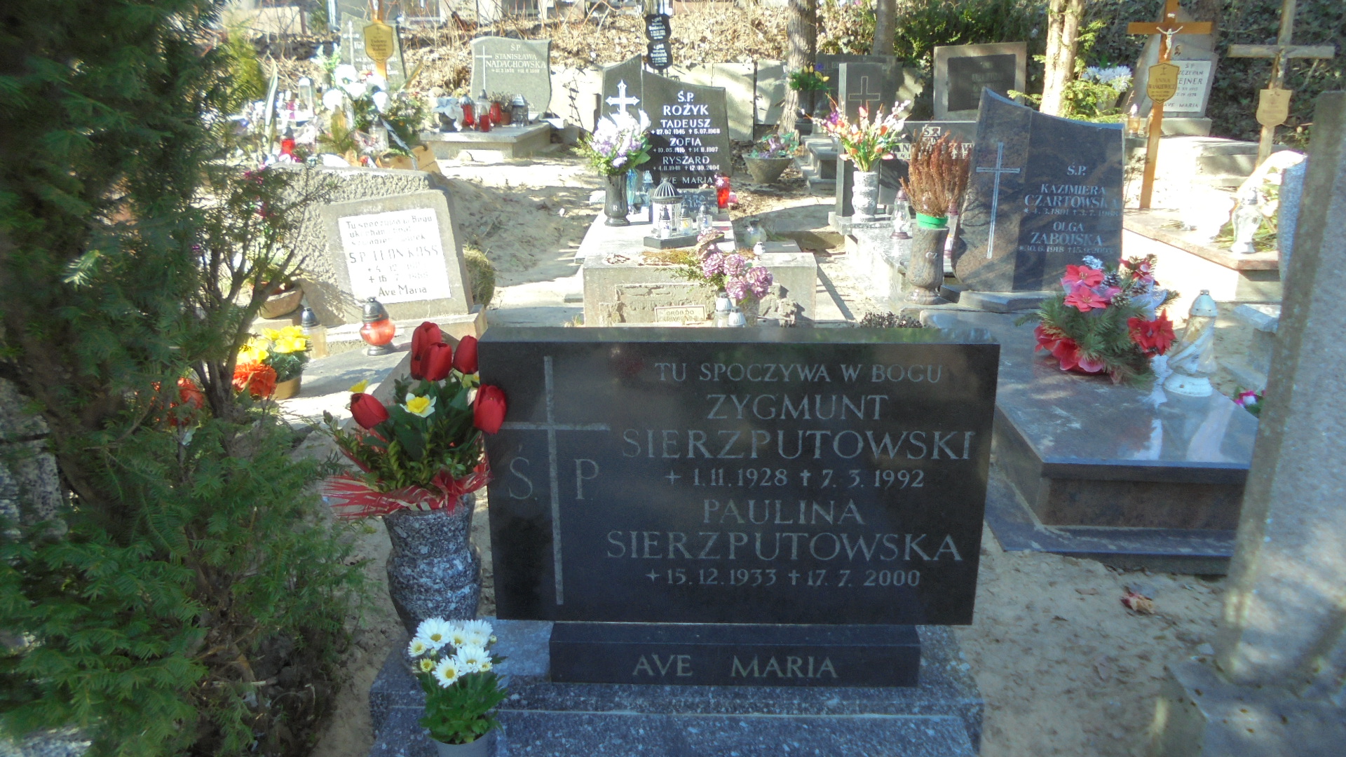 Paulina SIERZPUTOWSKA 1933 Gdynia - Grobonet - Wyszukiwarka osób pochowanych