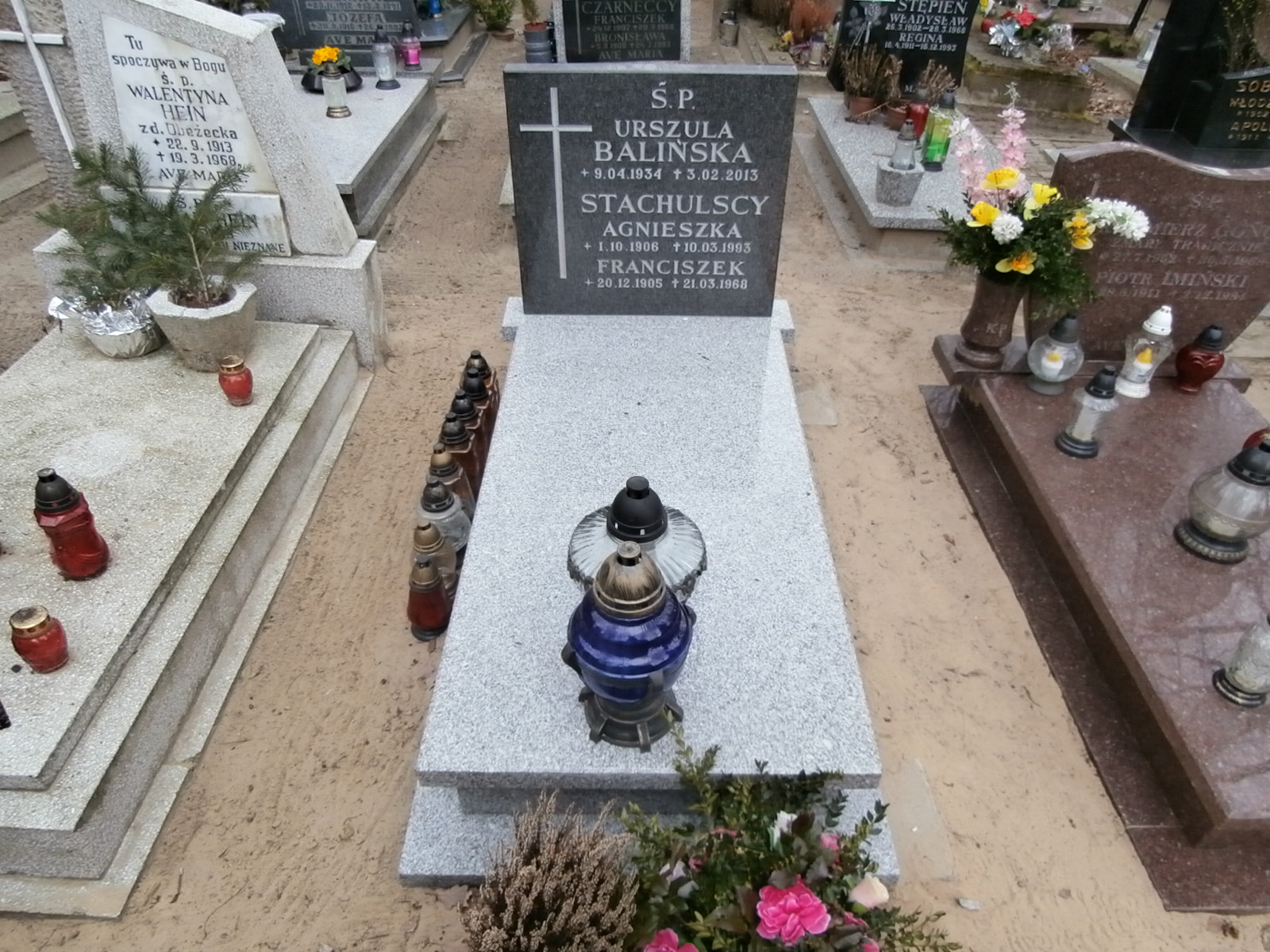 Franciszek STACHULSKI 1905 Gdynia - Grobonet - Wyszukiwarka osób pochowanych