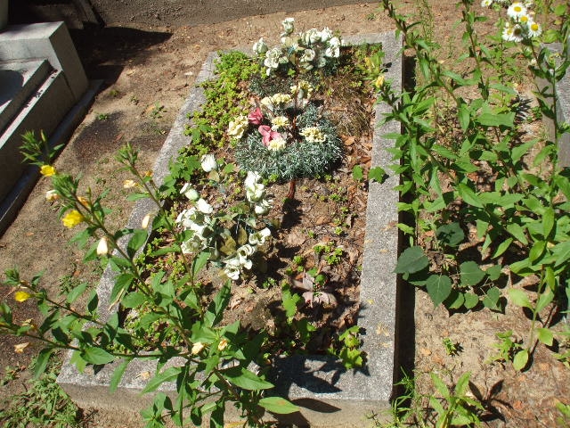 Mieczysław WIŚNIEWSKI Gdynia - Grobonet - Wyszukiwarka osób pochowanych