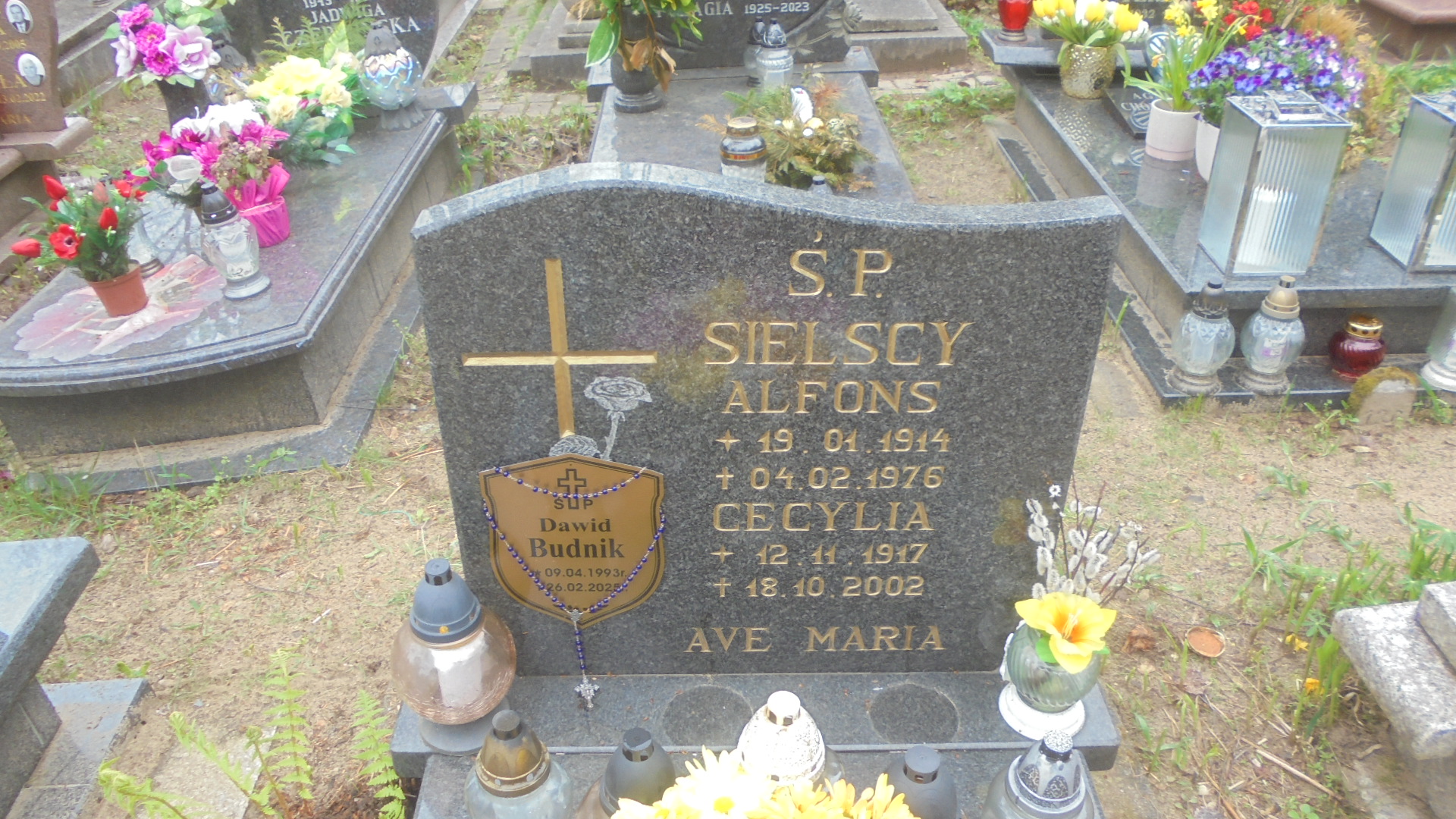 Alfons SIELSKI 1914 Gdynia - Grobonet - Wyszukiwarka osób pochowanych