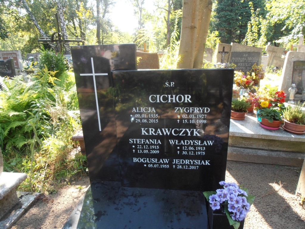 Władysław KRAWCZYK 1913 Gdynia - Grobonet - Wyszukiwarka osób pochowanych