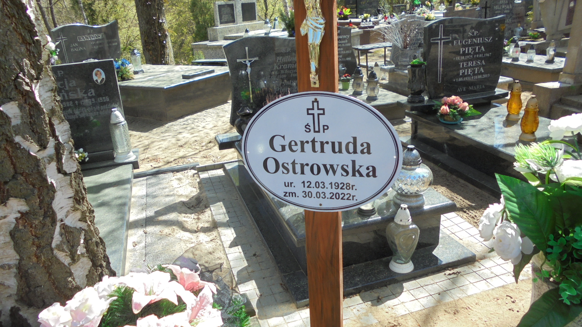 Eleonora KAMIŃSKA 1904 Gdynia - Grobonet - Wyszukiwarka osób pochowanych